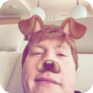 Sticker собачий кайф 🐶 - 10