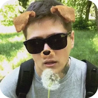 Sticker собачий кайф 🐶 - 2