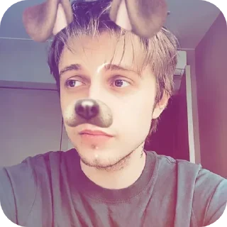 Sticker собачий кайф 🐶 - 0