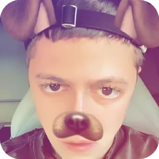 Sticker собачий кайф 🐶 - 9