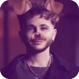Sticker собачий кайф 🐶 - 6
