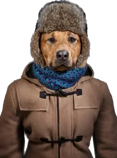 Sticker 7-8 собак - 10