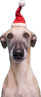 Sticker 7-8 собак - 8