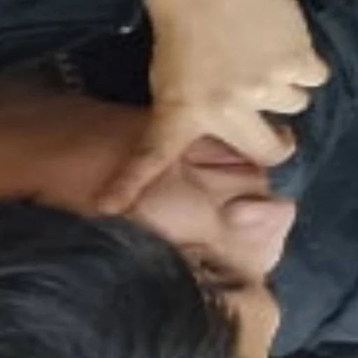 Sticker The$til - 10