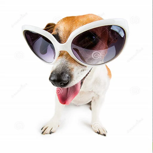 Sticker Sobakinax - 1