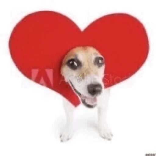 Sticker Sobakinax - 1