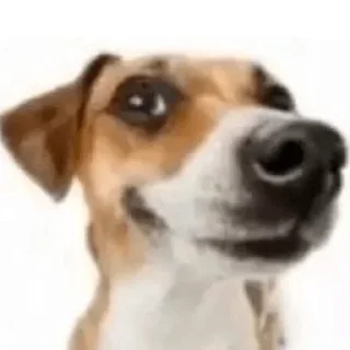 Стикер Цепные псы режима - 11