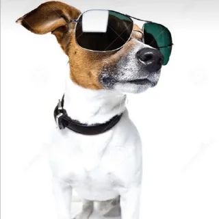 Стикер Цепные псы режима - 5