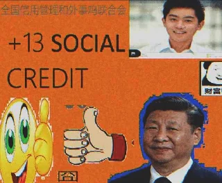 Sticker Social Credit - 6