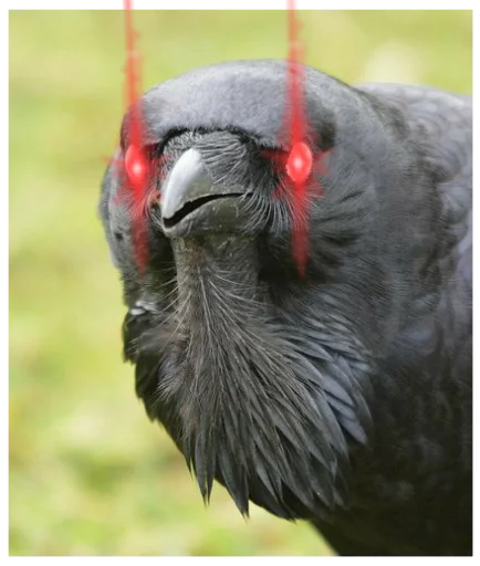 Sticker Six of crows - 10