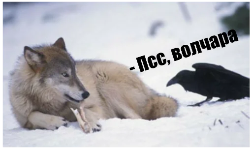 Sticker Six of crows - 8