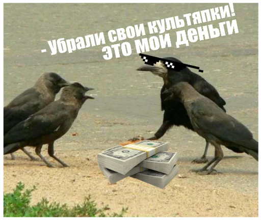 Sticker Six of crows - 5