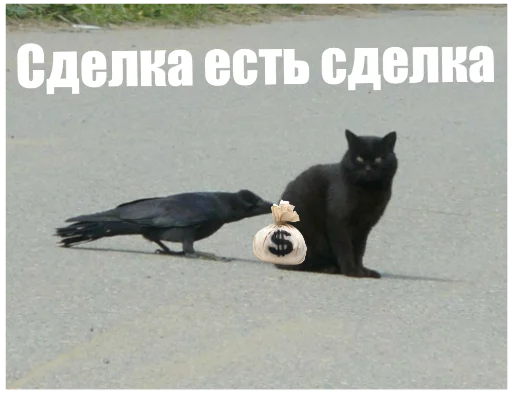 Sticker Six of crows - 2