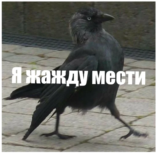 Sticker Six of crows - 1