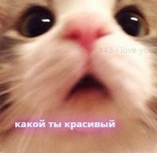 Стикер land :: @fStikBot - 4