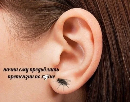 Стикер land :: @fStikBot - 0