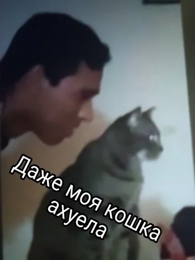 Sticker SolSaxarRandomness :: @fStikBot - 10