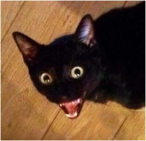 животное млекопитающее кошки малого и среднего размера