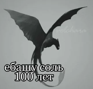 Sticker Солевые Будни - 5