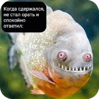 Sticker СолянОчка - 3