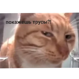 Sticker СолянОчка - 5