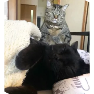 Sticker СолянОчка - 8