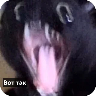 Sticker СолянОчка - 11