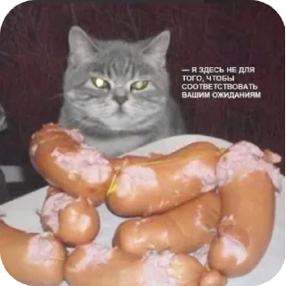 Sticker СолянОчка - 9