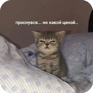 Sticker СолянОчка - 6