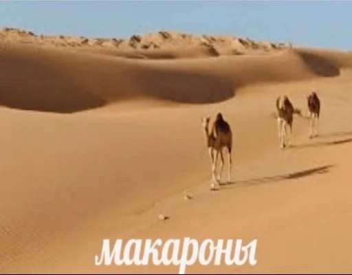 пустыня песок эоловая форма рельефа