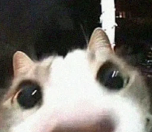 Sticker Solyanka_circhika - 1