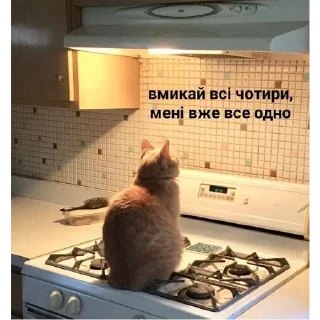 Sticker Солянка - 2