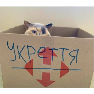 Sticker Солянка - 8