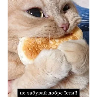 Sticker Солянка - 9