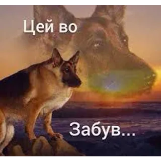 Sticker Солянка - 7