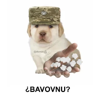 Sticker Солянка - 1