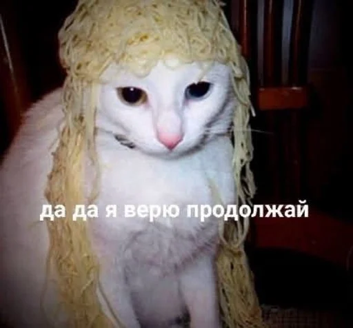 животное млекопитающее мех