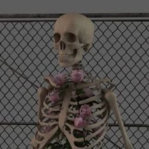 череп кость кукла