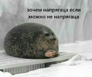 Sticker Some    (by @Sometguy) - 2