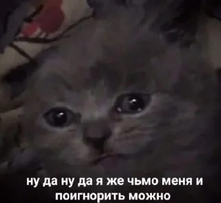 Sticker Some    (by @Sometguy) - 5