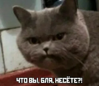 Sticker Some    (by @Sometguy) - 7