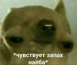 Sticker Some    (by @Sometguy) - 0