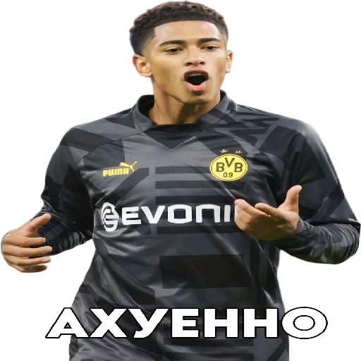 Стикер SonaldoPon - 1