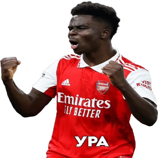 Sticker SonaldoPon - 1