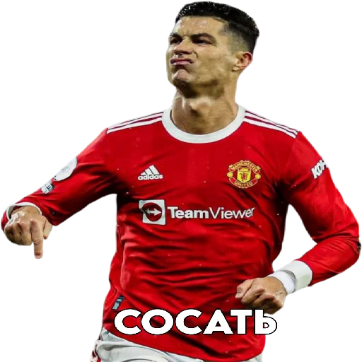 Sticker SonaldoPon - 1