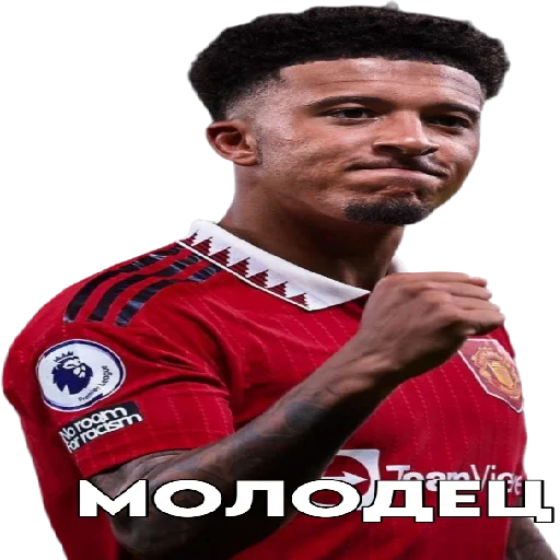 Sticker SonaldoPon - 1