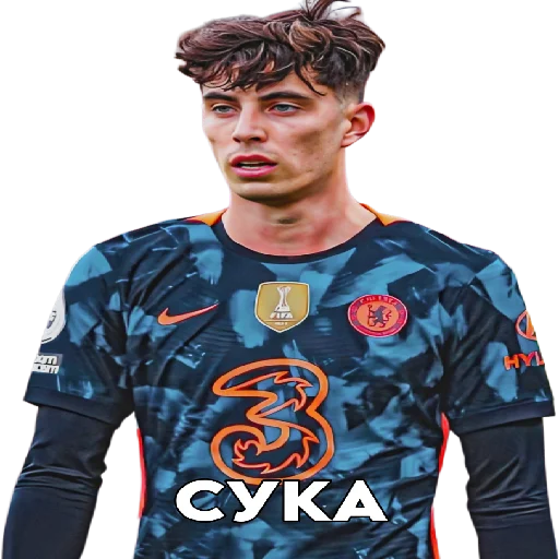 Sticker SonaldoPon - 1