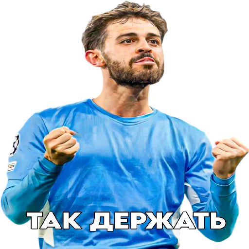 Стикер SonaldoPon - 1