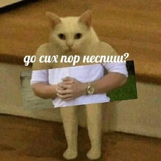 Sticker ЦЫГАНЫ - 10