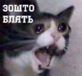 Стикер Самые ахуенные стикеры - 11